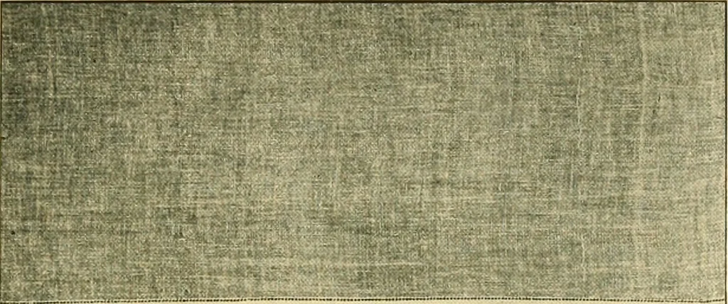 An illustration from Decoration of the school and home, 1914, leaf 202