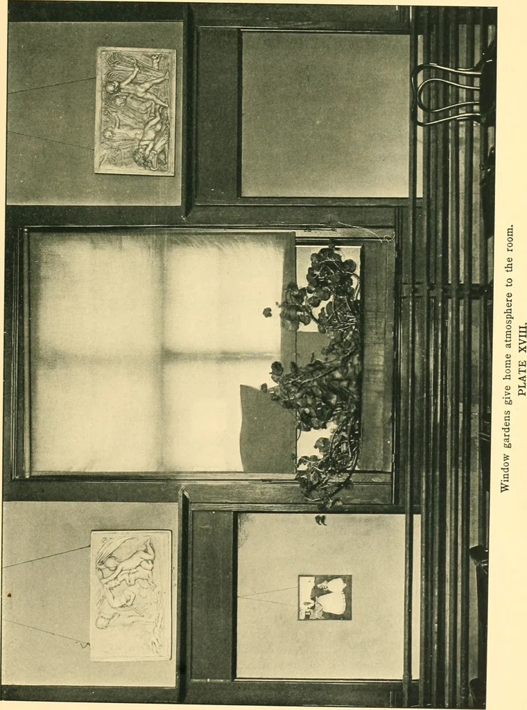 An illustration from Decoration of the school and home, 1914, leaf 64