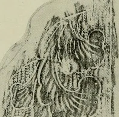 An illustration from Studies in the decorative art of Japan, 1910, leaf 105