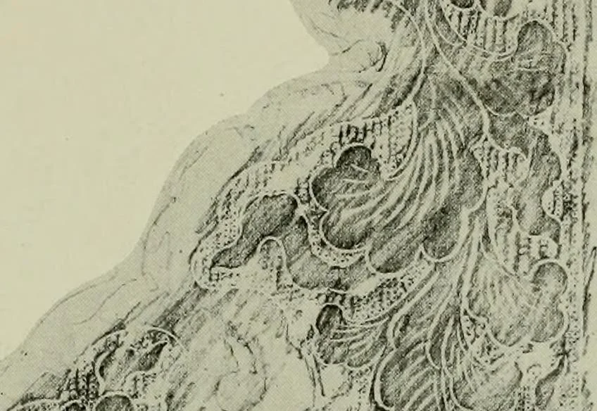 An illustration from Studies in the decorative art of Japan, 1910, leaf 105