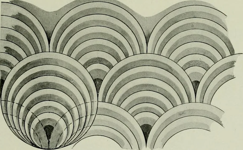 An illustration from Studies in the decorative art of Japan, 1910, leaf 41