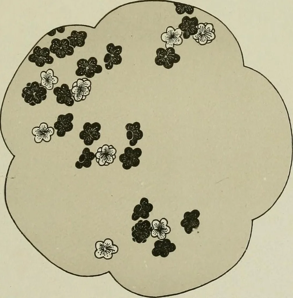 An illustration from Studies in the decorative art of Japan, 1910, leaf 91