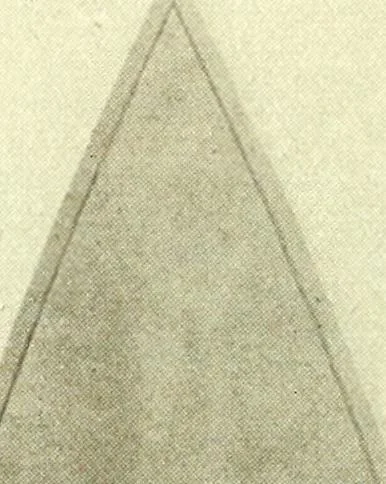 An illustration from Decorative painting, 1912, leaf 268