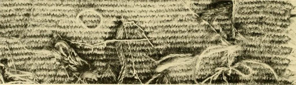 An illustration from Decorative textiles; an illustrated book on coverings for furniture, walls and floors, including damasks, brocades and velvets, tapestries, laces, embroideries, chintzes, cretones, drapery and furniture trimmings, wall papers, carpets and rugs, tooled and illuminated leathers, 1918, leaf 177