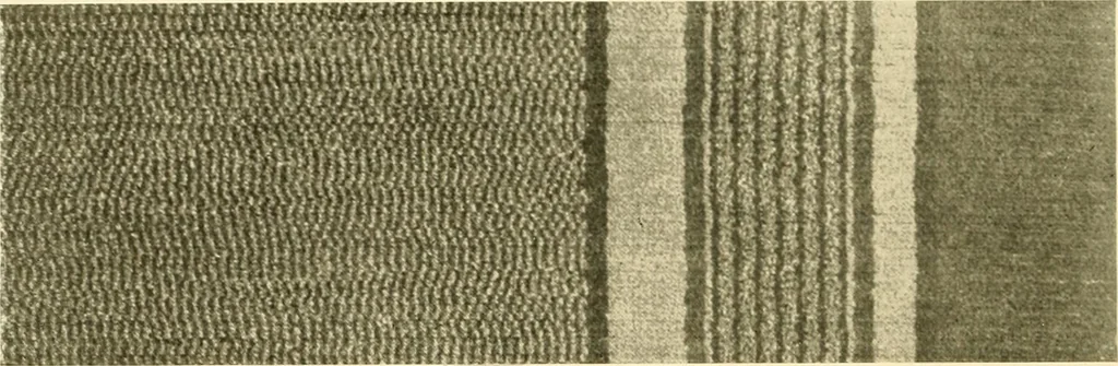 An illustration from Decorative textiles; an illustrated book on coverings for furniture, walls and floors, including damasks, brocades and velvets, tapestries, laces, embroideries, chintzes, cretones, drapery and furniture trimmings, wall papers, carpets and rugs, tooled and illuminated leathers, 1918, leaf 199