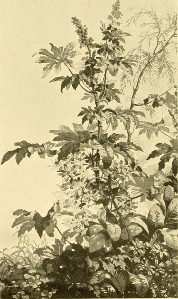 An illustration from Decorative textiles; an illustrated book on coverings for furniture, walls and floors, including damasks, brocades and velvets, tapestries, laces, embroideries, chintzes, cretones, drapery and furniture trimmings, wall papers, carpets and rugs, tooled and illuminated leathers, 1918, leaf 395