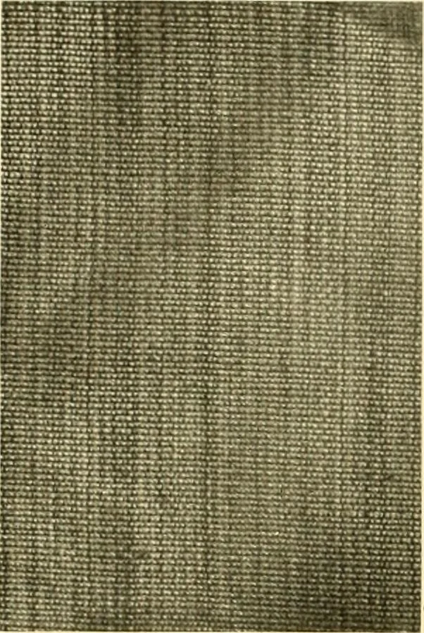 An illustration from Decorative textiles; an illustrated book on coverings for furniture, walls and floors, including damasks, brocades and velvets, tapestries, laces, embroideries, chintzes, cretones, drapery and furniture trimmings, wall papers, carpets and rugs, tooled and illuminated leathers, 1918, leaf 87