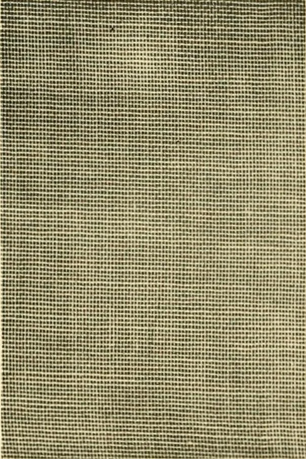 An illustration from Decorative textiles; an illustrated book on coverings for furniture, walls and floors, including damasks, brocades and velvets, tapestries, laces, embroideries, chintzes, cretones, drapery and furniture trimmings, wall papers, carpets and rugs, tooled and illuminated leathers, 1918, leaf 87