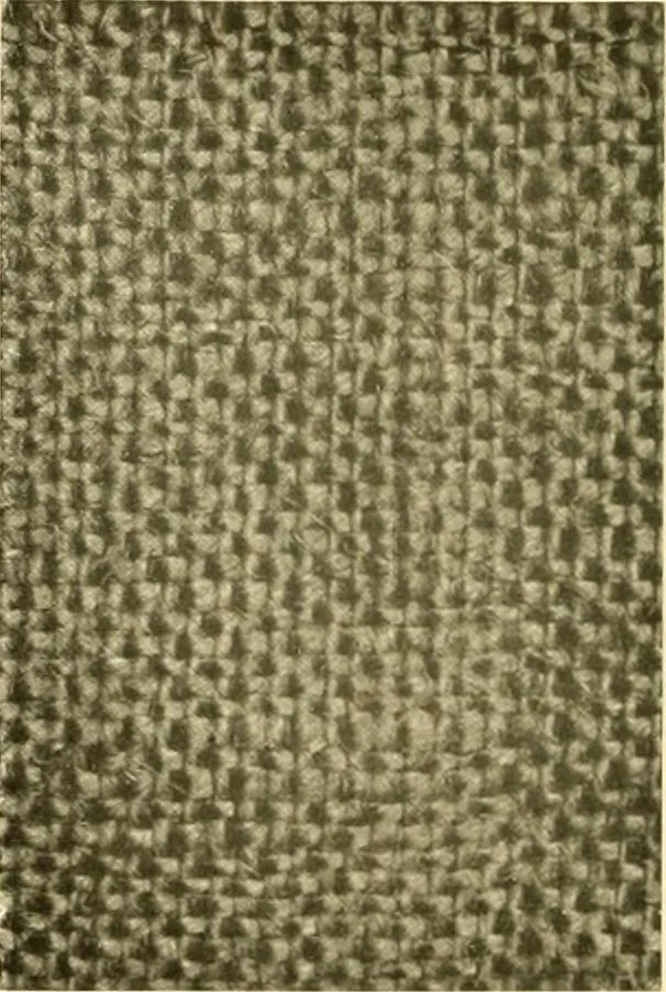 An illustration from Decorative textiles; an illustrated book on coverings for furniture, walls and floors, including damasks, brocades and velvets, tapestries, laces, embroideries, chintzes, cretones, drapery and furniture trimmings, wall papers, carpets and rugs, tooled and illuminated leathers, 1918, leaf 87