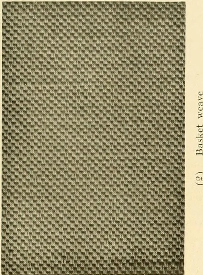 An illustration from Decorative textiles; an illustrated book on coverings for furniture, walls and floors, including damasks, brocades and velvets, tapestries, laces, embroideries, chintzes, cretones, drapery and furniture trimmings, wall papers, carpets and rugs, tooled and illuminated leathers, 1918, leaf 88