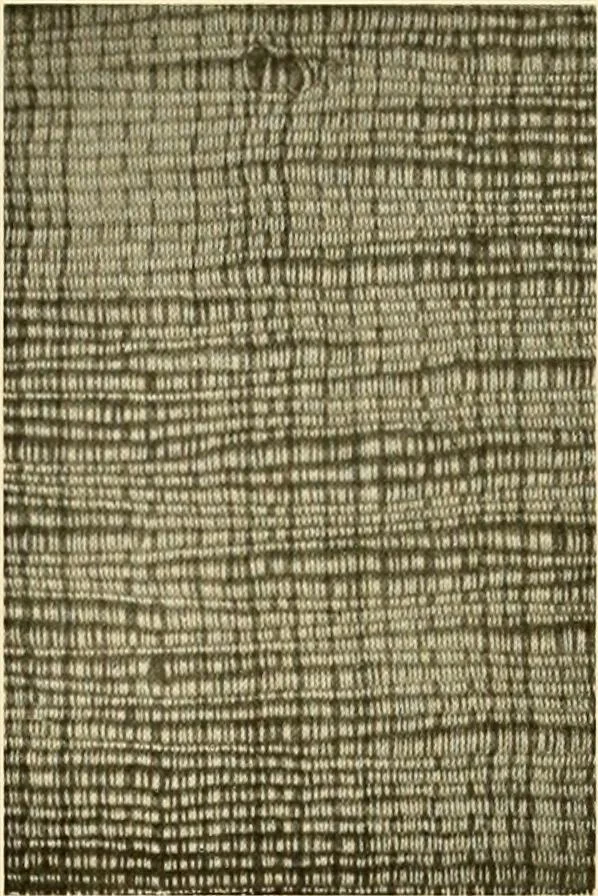 An illustration from Decorative textiles; an illustrated book on coverings for furniture, walls and floors, including damasks, brocades and velvets, tapestries, laces, embroideries, chintzes, cretones, drapery and furniture trimmings, wall papers, carpets and rugs, tooled and illuminated leathers, 1918, leaf 88
