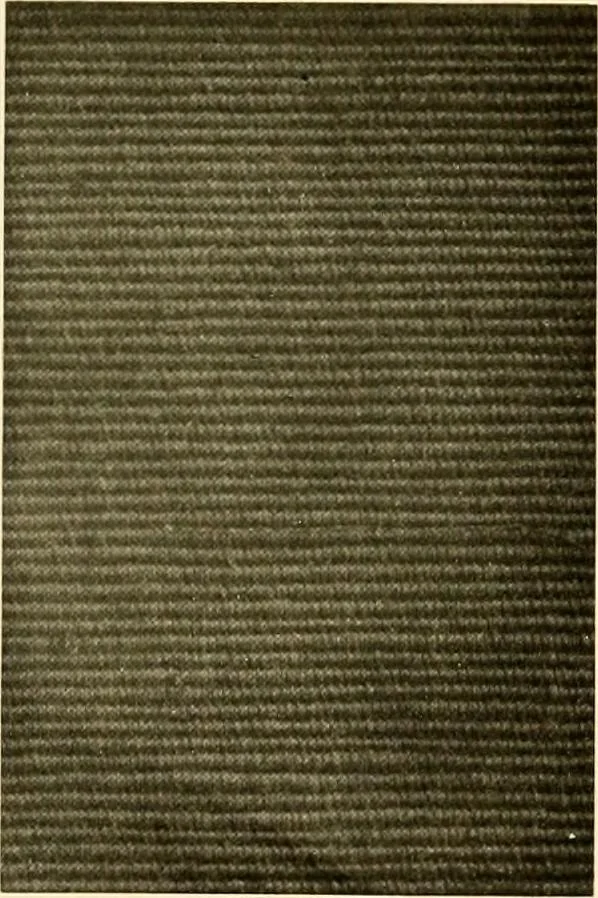 An illustration from Decorative textiles; an illustrated book on coverings for furniture, walls and floors, including damasks, brocades and velvets, tapestries, laces, embroideries, chintzes, cretones, drapery and furniture trimmings, wall papers, carpets and rugs, tooled and illuminated leathers, 1918, leaf 88
