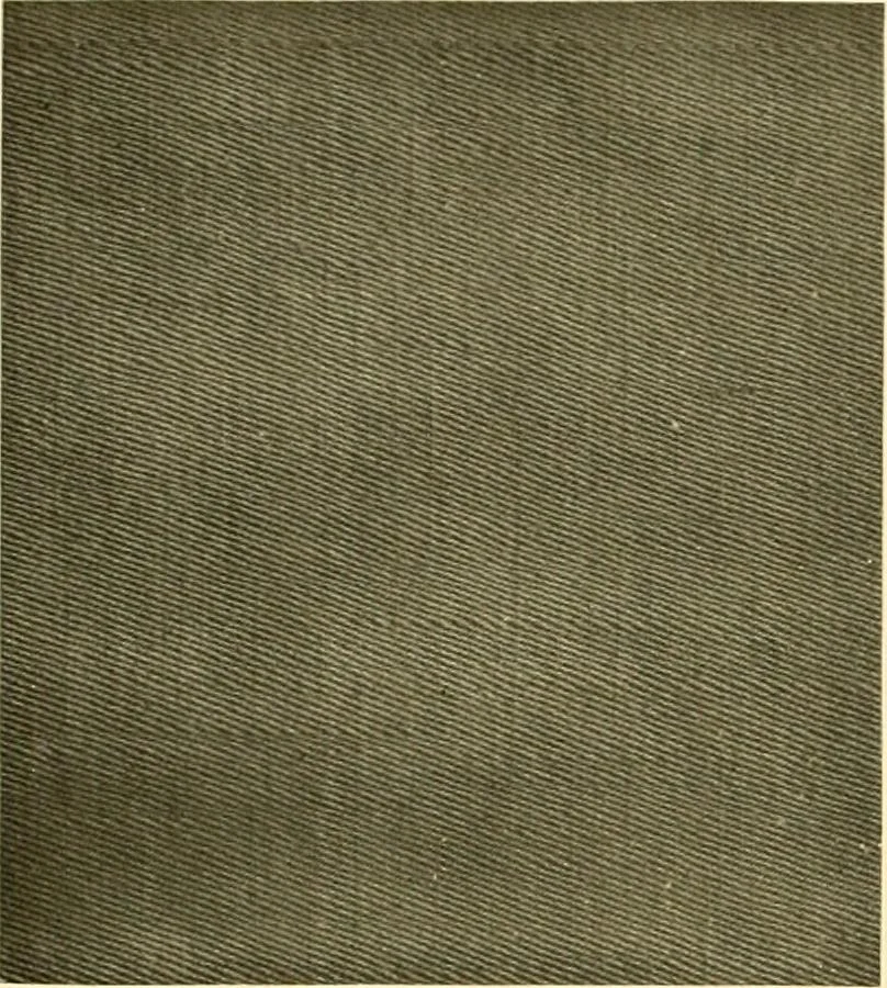 An illustration from Decorative textiles; an illustrated book on coverings for furniture, walls and floors, including damasks, brocades and velvets, tapestries, laces, embroideries, chintzes, cretones, drapery and furniture trimmings, wall papers, carpets and rugs, tooled and illuminated leathers, 1918, leaf 89