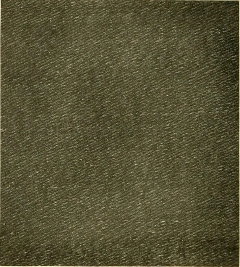 An illustration from Decorative textiles; an illustrated book on coverings for furniture, walls and floors, including damasks, brocades and velvets, tapestries, laces, embroideries, chintzes, cretones, drapery and furniture trimmings, wall papers, carpets and rugs, tooled and illuminated leathers, 1918, leaf 89