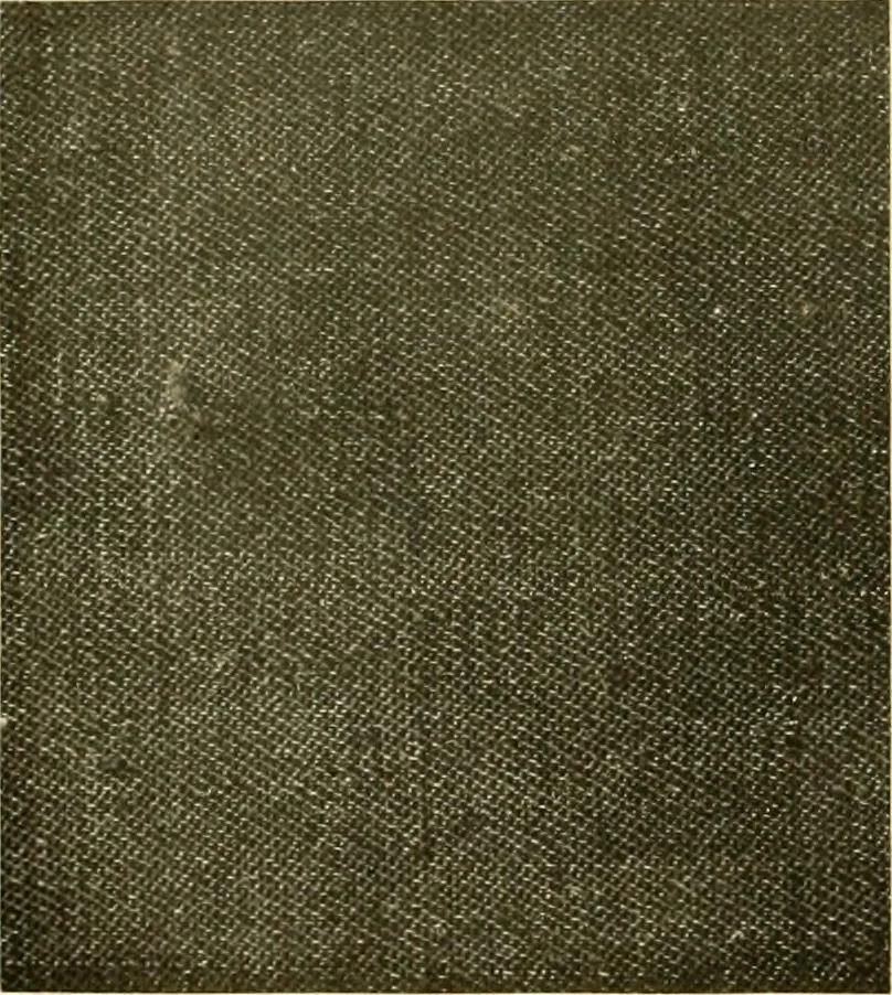 An illustration from Decorative textiles; an illustrated book on coverings for furniture, walls and floors, including damasks, brocades and velvets, tapestries, laces, embroideries, chintzes, cretones, drapery and furniture trimmings, wall papers, carpets and rugs, tooled and illuminated leathers, 1918, leaf 89