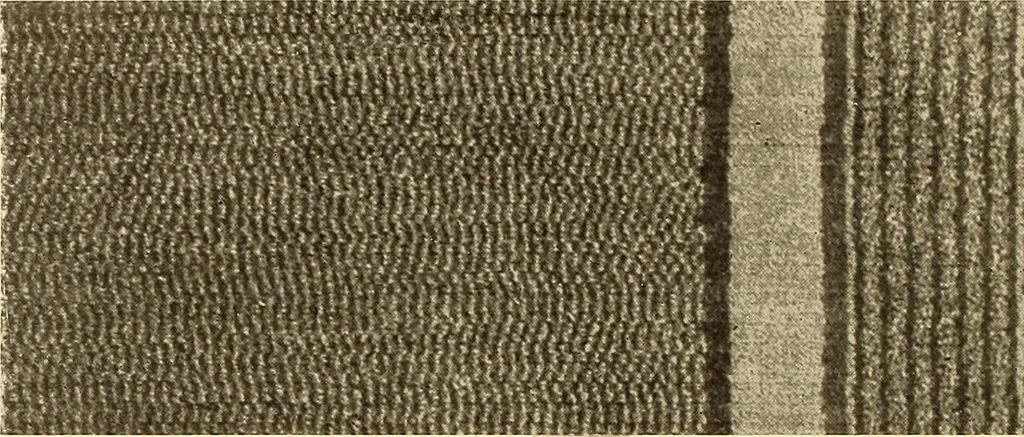 An illustration from Decorative textiles; an illustrated book on coverings for furniture, walls and floors, including damasks, brocades and velvets, tapestries, laces, embroideries, chintzes, cretonnes, drapery and furniture trimmings, wall papers, carpets and rugs, tooled and illuminated leathers, 1918, leaf 197