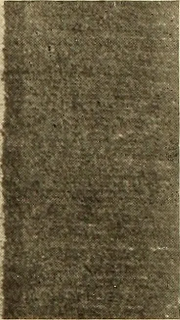 An illustration from Decorative textiles; an illustrated book on coverings for furniture, walls and floors, including damasks, brocades and velvets, tapestries, laces, embroideries, chintzes, cretonnes, drapery and furniture trimmings, wall papers, carpets and rugs, tooled and illuminated leathers, 1918, leaf 197