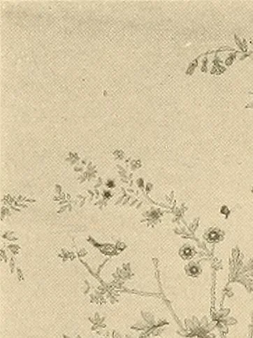 An illustration from Decorative textiles; an illustrated book on coverings for furniture, walls and floors, including damasks, brocades and velvets, tapestries, laces, embroideries, chintzes, cretonnes, drapery and furniture trimmings, wall papers, carpets and rugs, tooled and illuminated leathers, 1918, leaf 393