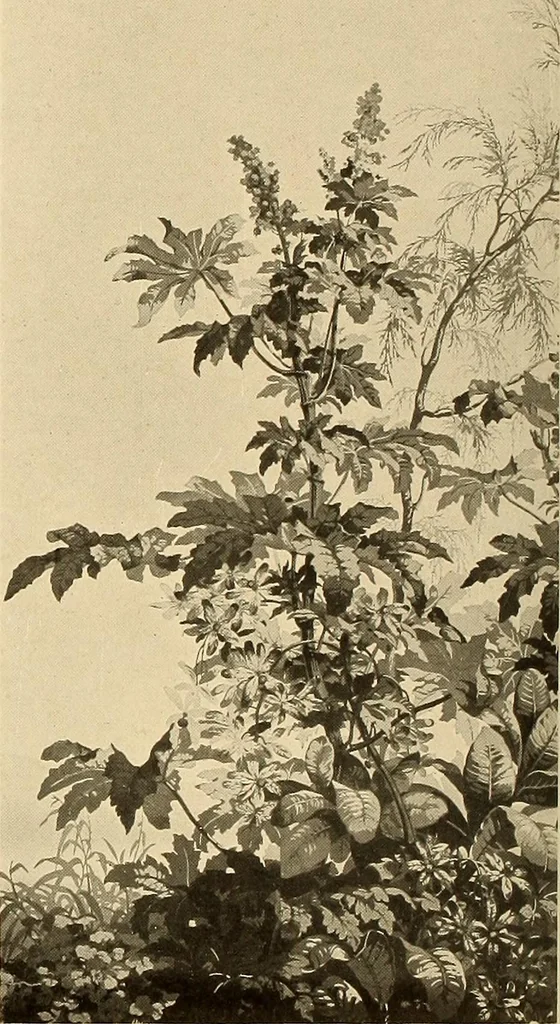 An illustration from Decorative textiles; an illustrated book on coverings for furniture, walls and floors, including damasks, brocades and velvets, tapestries, laces, embroideries, chintzes, cretonnes, drapery and furniture trimmings, wall papers, carpets and rugs, tooled and illuminated leathers, 1918, leaf 393