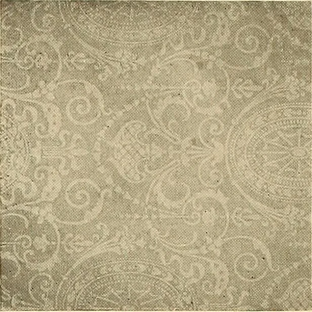 An illustration from Decorative textiles; an illustrated book on coverings for furniture, walls and floors, including damasks, brocades and velvets, tapestries, laces, embroideries, chintzes, cretonnes, drapery and furniture trimmings, wall papers, carpets and rugs, tooled and illuminated leathers, 1918, leaf 415