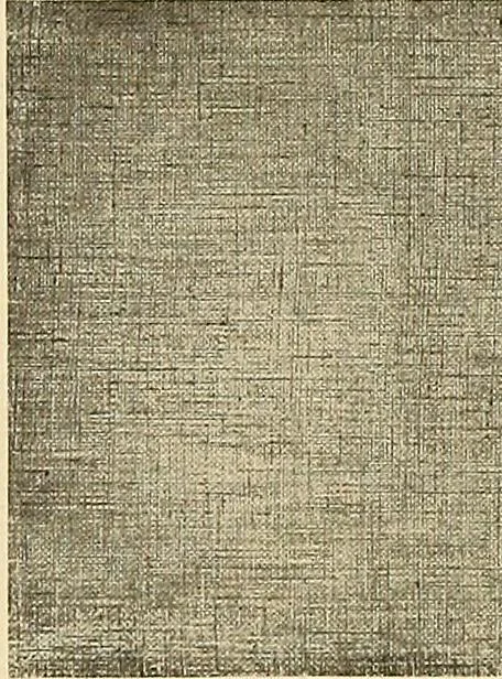 An illustration from Decorative textiles; an illustrated book on coverings for furniture, walls and floors, including damasks, brocades and velvets, tapestries, laces, embroideries, chintzes, cretonnes, drapery and furniture trimmings, wall papers, carpets and rugs, tooled and illuminated leathers, 1918, leaf 415