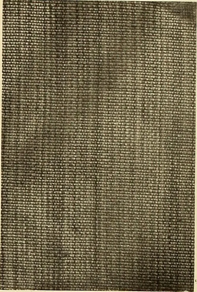 An illustration from Decorative textiles; an illustrated book on coverings for furniture, walls and floors, including damasks, brocades and velvets, tapestries, laces, embroideries, chintzes, cretonnes, drapery and furniture trimmings, wall papers, carpets and rugs, tooled and illuminated leathers, 1918, leaf 85