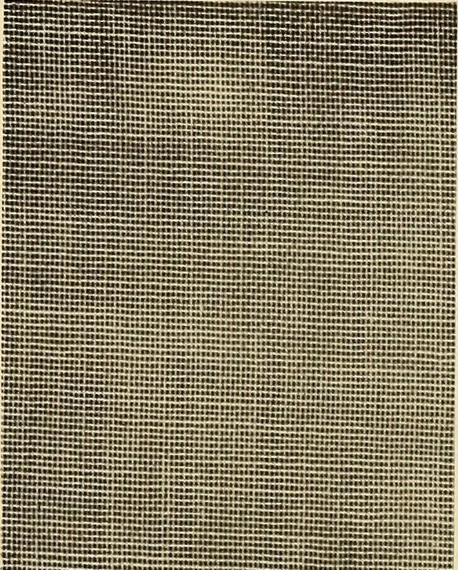 An illustration from Decorative textiles; an illustrated book on coverings for furniture, walls and floors, including damasks, brocades and velvets, tapestries, laces, embroideries, chintzes, cretonnes, drapery and furniture trimmings, wall papers, carpets and rugs, tooled and illuminated leathers, 1918, leaf 85