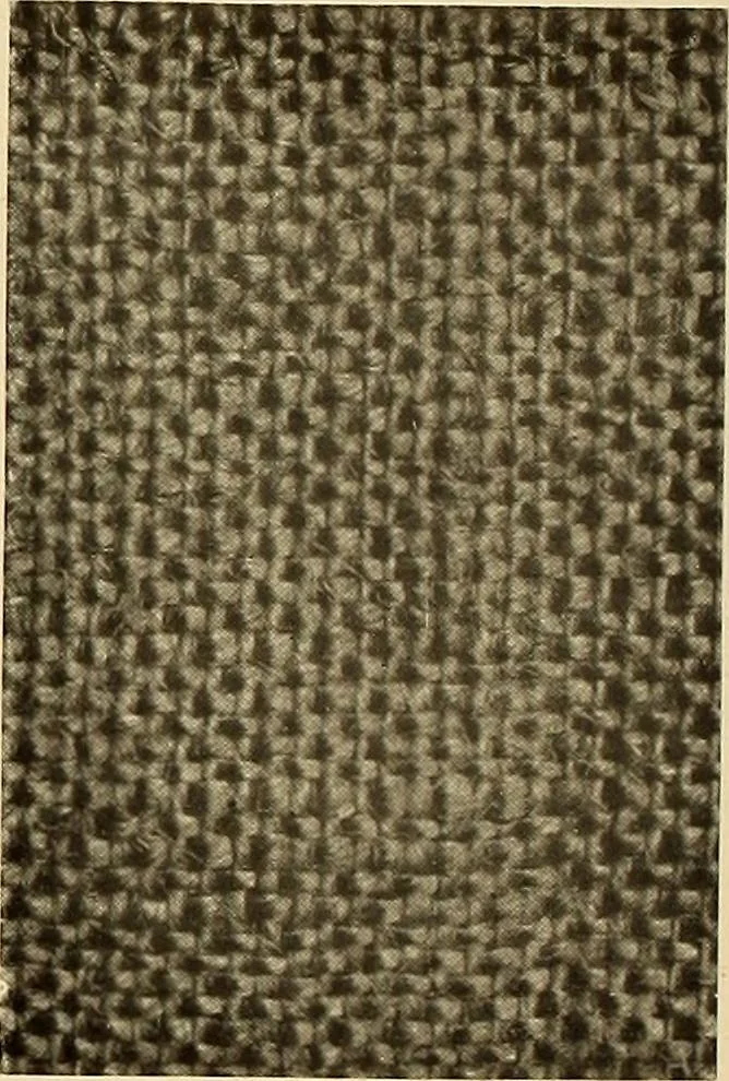 An illustration from Decorative textiles; an illustrated book on coverings for furniture, walls and floors, including damasks, brocades and velvets, tapestries, laces, embroideries, chintzes, cretonnes, drapery and furniture trimmings, wall papers, carpets and rugs, tooled and illuminated leathers, 1918, leaf 85
