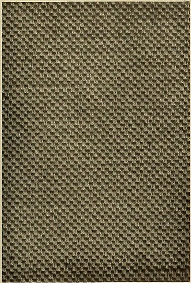 An illustration from Decorative textiles; an illustrated book on coverings for furniture, walls and floors, including damasks, brocades and velvets, tapestries, laces, embroideries, chintzes, cretonnes, drapery and furniture trimmings, wall papers, carpets and rugs, tooled and illuminated leathers, 1918, leaf 86