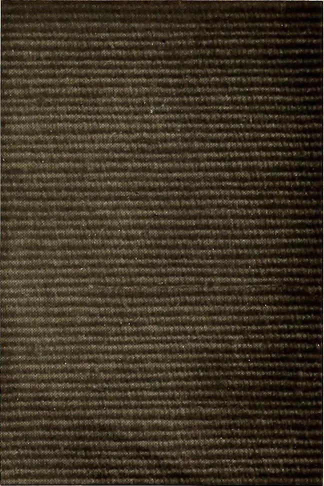 An illustration from Decorative textiles; an illustrated book on coverings for furniture, walls and floors, including damasks, brocades and velvets, tapestries, laces, embroideries, chintzes, cretonnes, drapery and furniture trimmings, wall papers, carpets and rugs, tooled and illuminated leathers, 1918, leaf 86