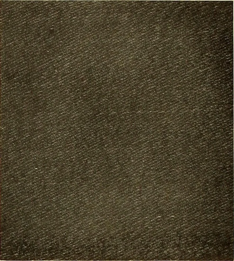 An illustration from Decorative textiles; an illustrated book on coverings for furniture, walls and floors, including damasks, brocades and velvets, tapestries, laces, embroideries, chintzes, cretonnes, drapery and furniture trimmings, wall papers, carpets and rugs, tooled and illuminated leathers, 1918, leaf 87