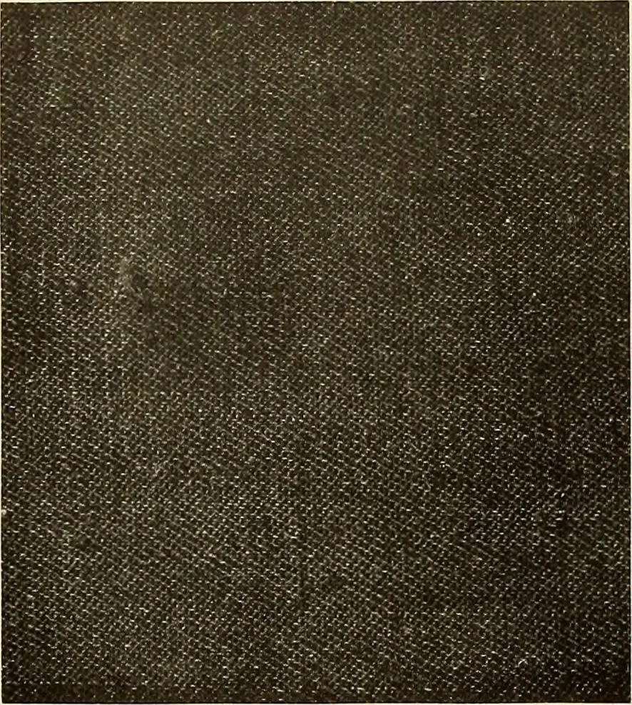 An illustration from Decorative textiles; an illustrated book on coverings for furniture, walls and floors, including damasks, brocades and velvets, tapestries, laces, embroideries, chintzes, cretonnes, drapery and furniture trimmings, wall papers, carpets and rugs, tooled and illuminated leathers, 1918, leaf 87