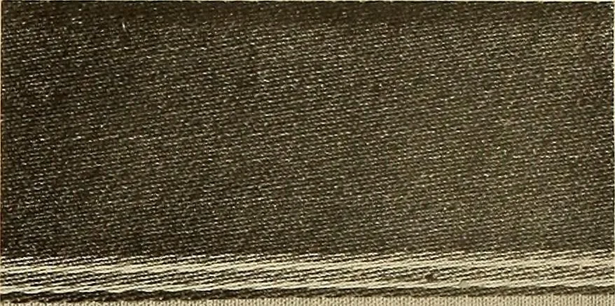 An illustration from Decorative textiles; an illustrated book on coverings for furniture, walls and floors, including damasks, brocades and velvets, tapestries, laces, embroideries, chintzes, cretonnes, drapery and furniture trimmings, wall papers, carpets and rugs, tooled and illuminated leathers, 1918, leaf 93