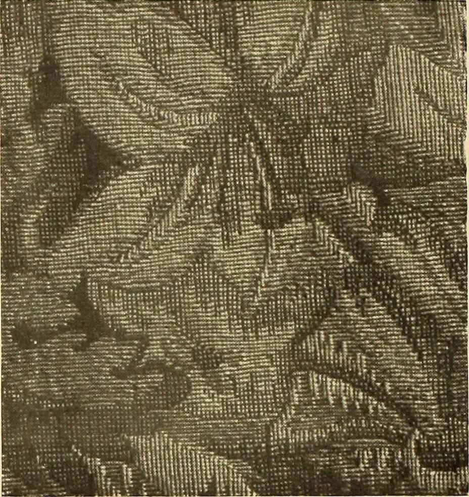 An illustration from Decorative textiles; an illustrated book on coverings for furniture, walls and floors, including damasks, brocades and velvets, tapestries, laces, embroideries, chintzes, cretonnes, drapery and furniture trimmings, wall papers, carpets and rugs, tooled and illuminated leathers, 1918, leaf 95