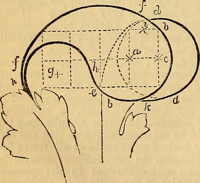 An illustration from The Decorator's assistant, 1847, leaf 105