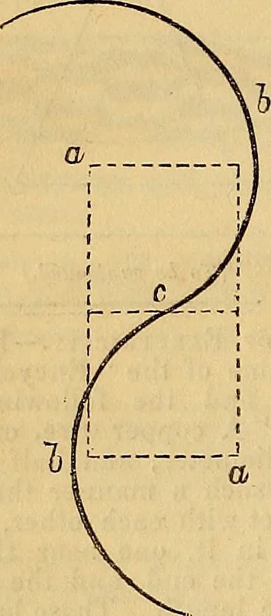 An illustration from The Decorator's assistant, 1847, leaf 113