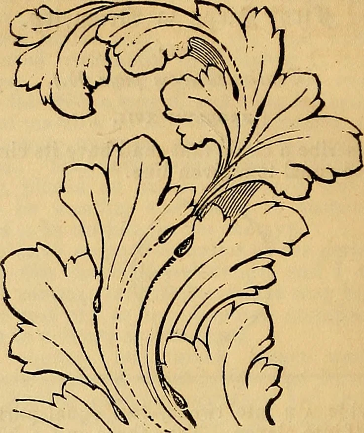 An illustration from The Decorator's assistant, 1847, leaf 113