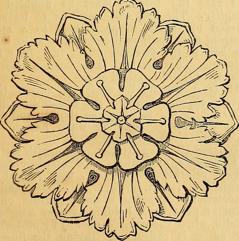 An illustration from The Decorator's assistant, 1847, leaf 118