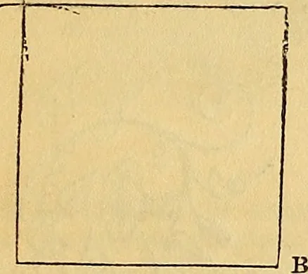 An illustration from The Decorator's assistant, 1847, leaf 120