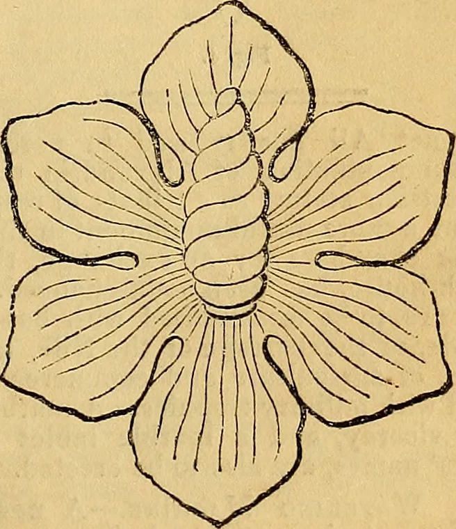 An illustration from The Decorator's assistant, 1847, leaf 122