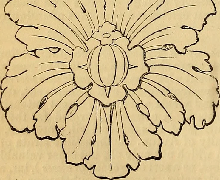 An illustration from The Decorator's assistant, 1847, leaf 129