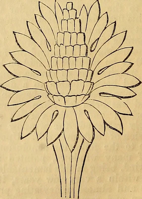 An illustration from The Decorator's assistant, 1847, leaf 129