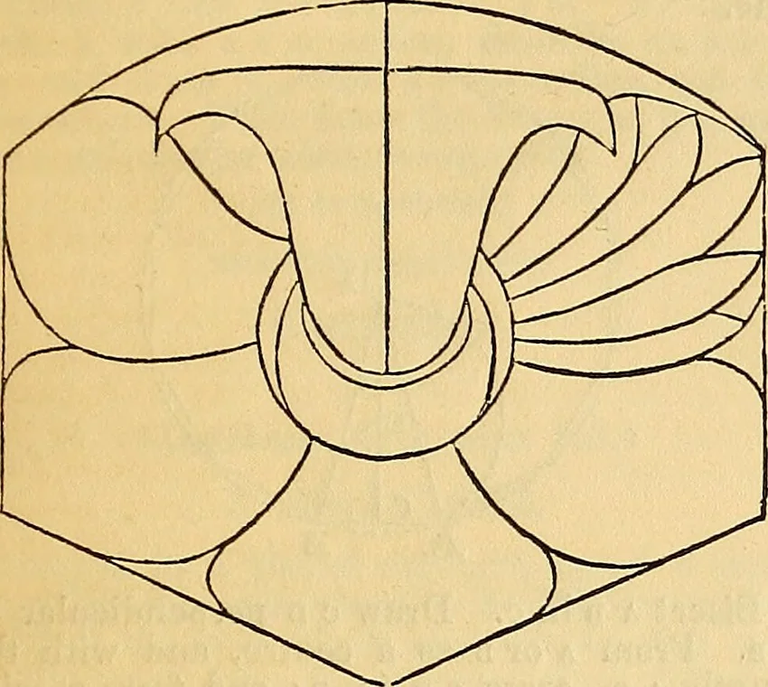An illustration from The Decorator's assistant, 1847, leaf 138