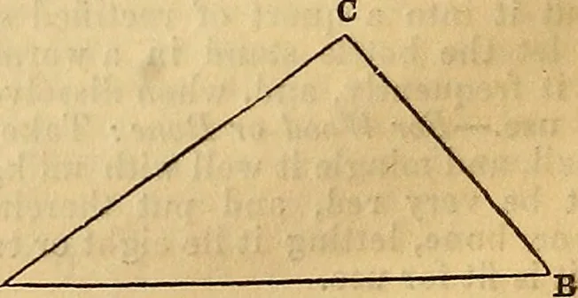 An illustration from The Decorator's assistant, 1847, leaf 139