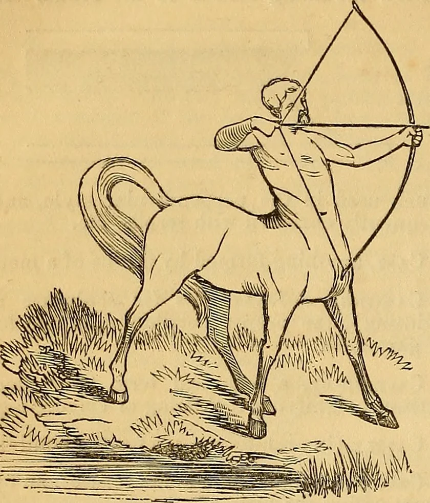 An illustration from The Decorator's assistant, 1847, leaf 151