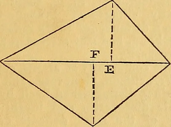 An illustration from The Decorator's assistant, 1847, leaf 170