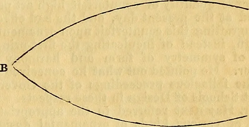 An illustration from The Decorator's assistant, 1847, leaf 18