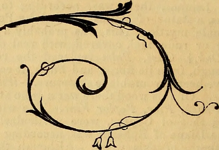 An illustration from The Decorator's assistant, 1847, leaf 185