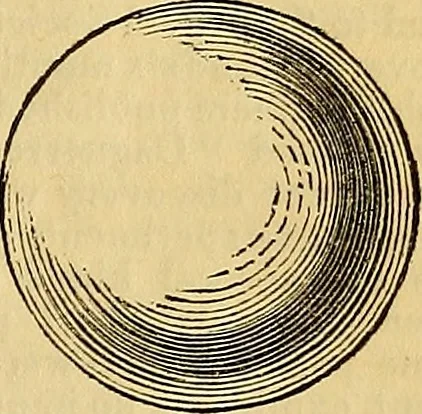An illustration from The Decorator's assistant, 1847, leaf 190