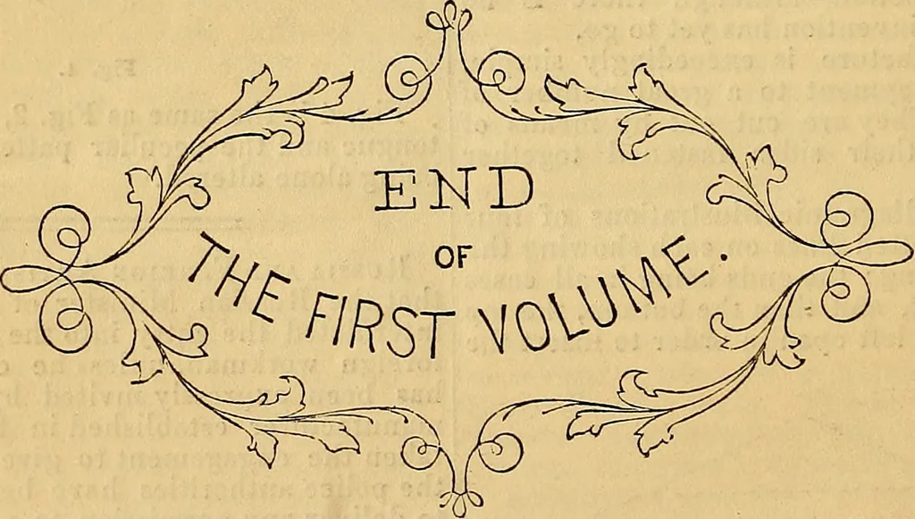 An illustration from The Decorator's assistant, 1847, leaf 213